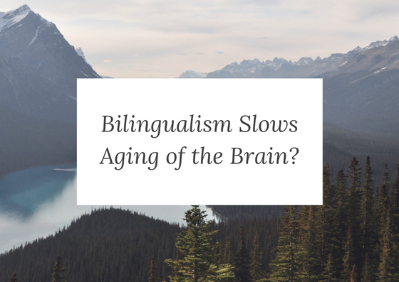 Research states that language-learning slows aging of brain