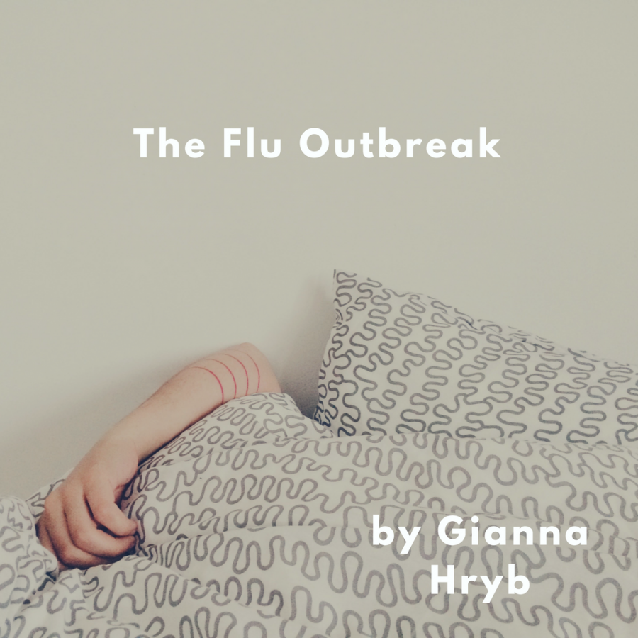 The Flu Outbreak