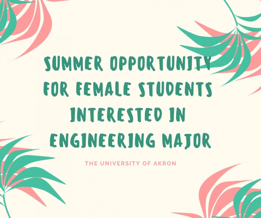 Summer+opportunity+for+female+students+interested+in+engineering+major