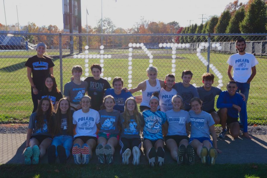 Cross Country Dogs to State