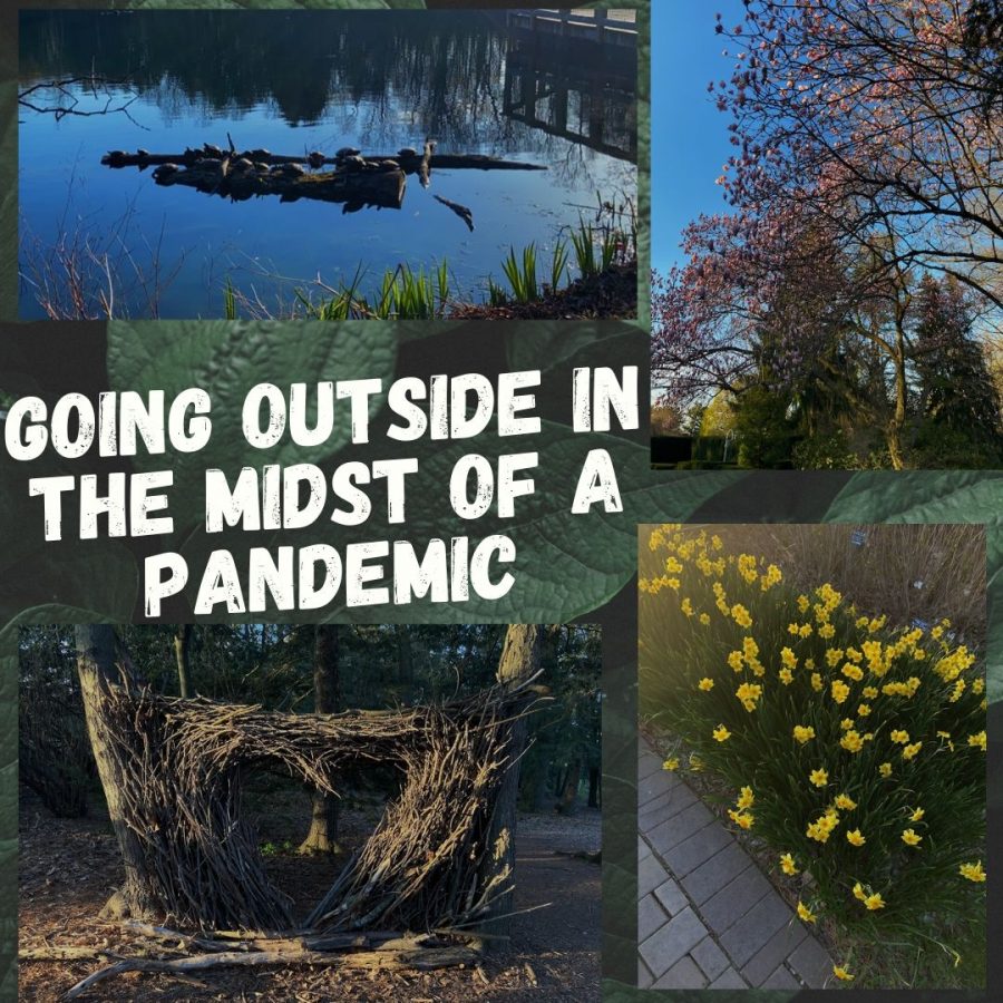 Going Outside in the Midst of a Pandemic
