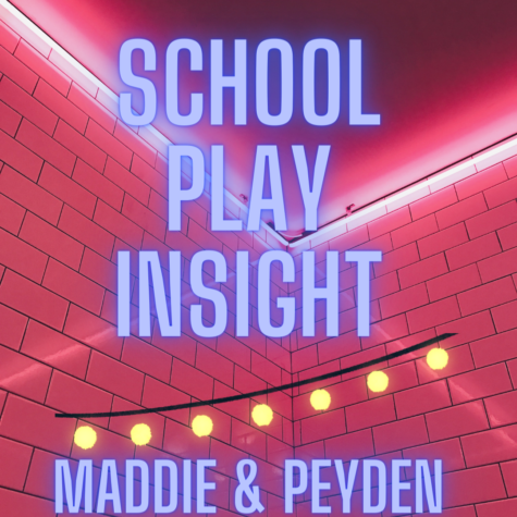 School Play Insight: 67 Cinderellas