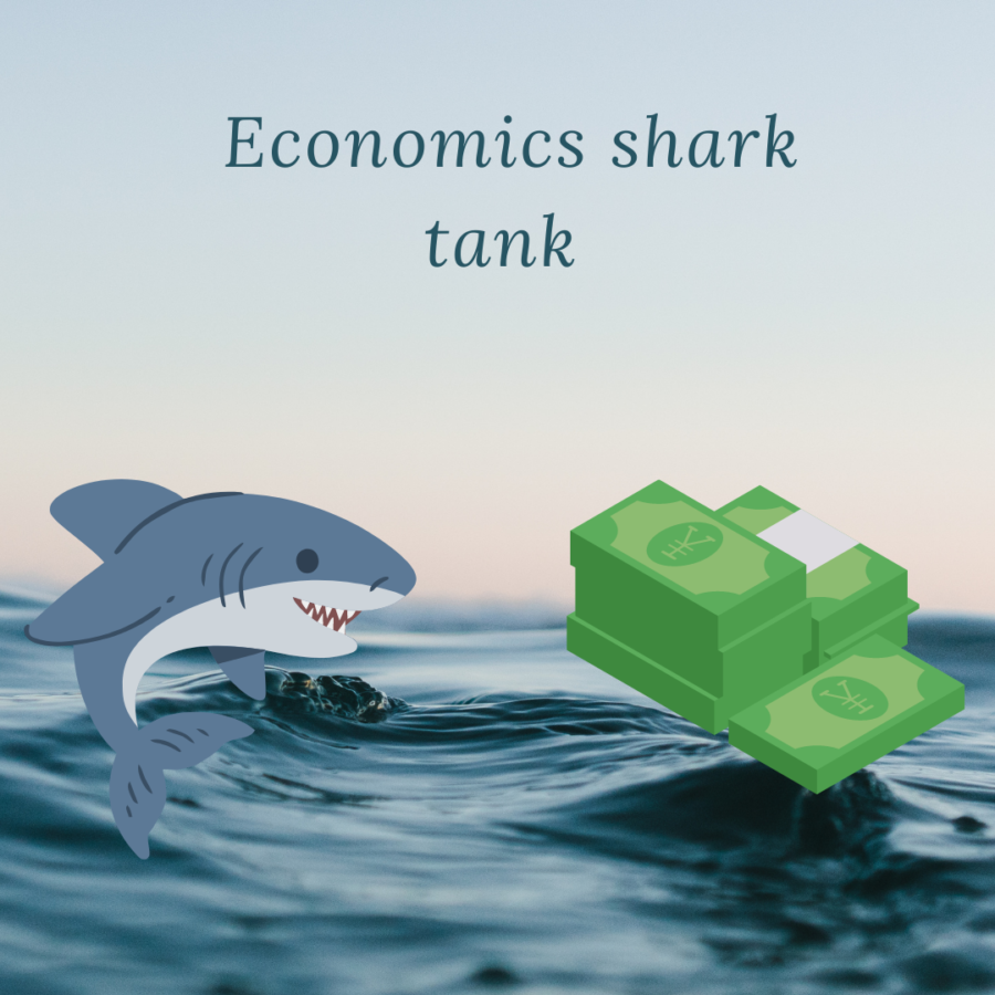 Economics Shark Tank Competition