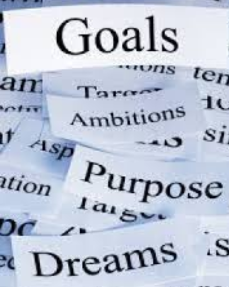 Junior and Senior Future Aspirations