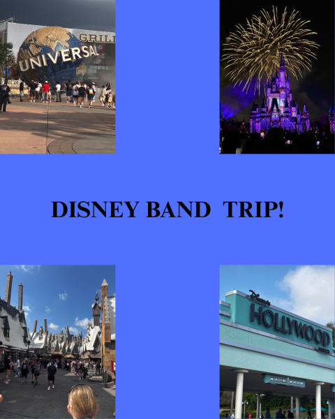 THE DISNEY BAND TRIP!